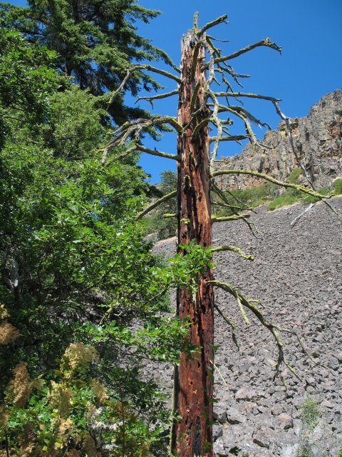 7.30.06 Coyote Wall, Labyrinth 024 